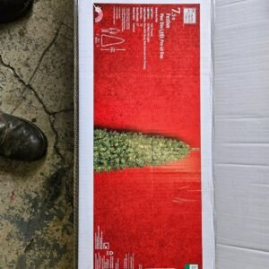 New Christmas tree pallets