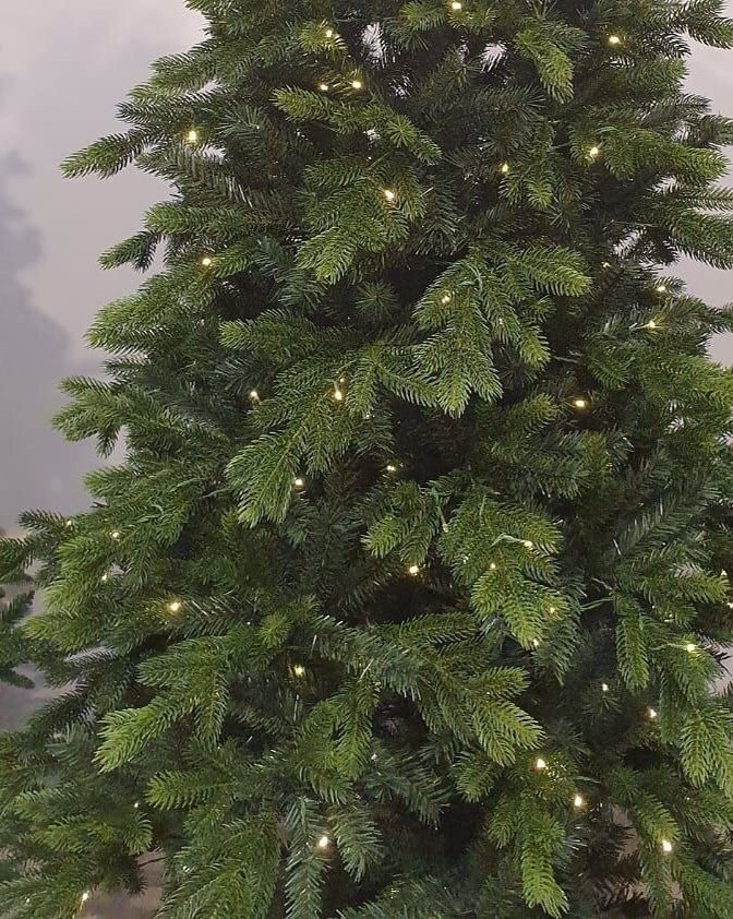 Christmas tree pallets